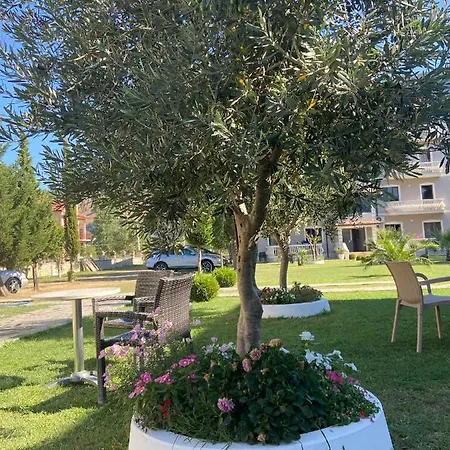 Sun Roll * Baks-Rrjoll