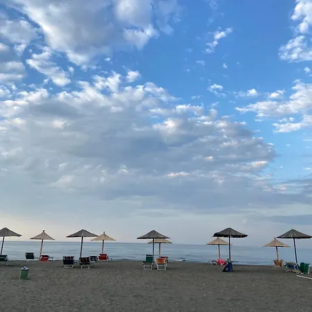 Sun Roll * Baks-Rrjoll