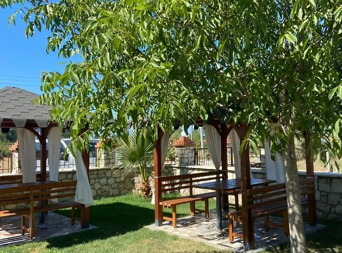 Sun Roll Baks-Rrjoll