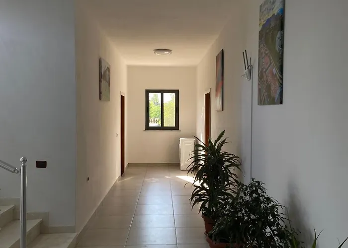 Appartement Sun Roll
