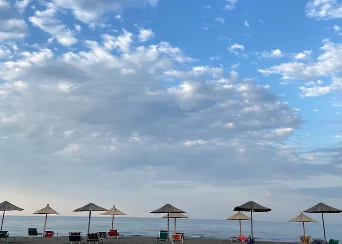 Sun Roll * Baks-Rrjoll