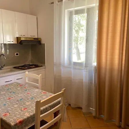 Sun Roll Baks-Rrjoll