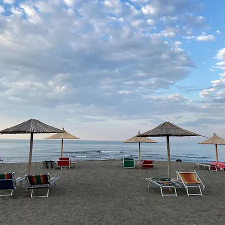 Sun Roll * Baks-Rrjoll